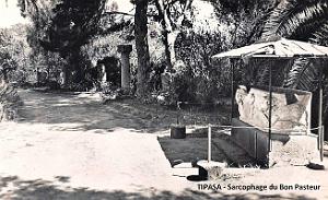 Tipasa - Ruines romaines 42